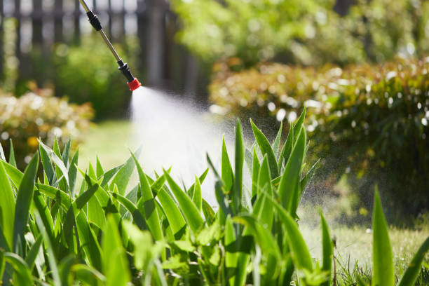 Tamper-Resistant Bait Stations for Rodents in Banner Hill