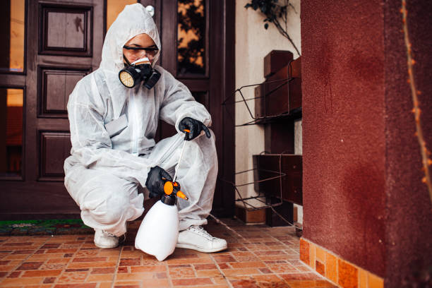 Attic and Crawl Space Rodent Treatment in Banner Hill